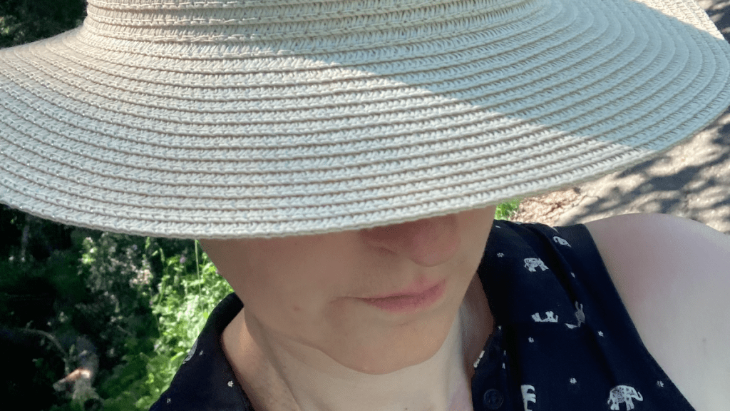 My cruel inner critic, the Odyssey Workshop, pantsing, and&nbsp;dictation.