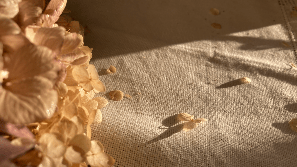 Corona, writing, and everything&nbsp;else…