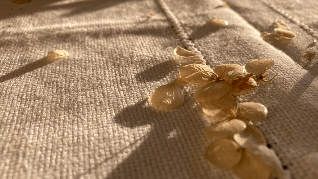 More on Corona, writing, and anything&nbsp;else…