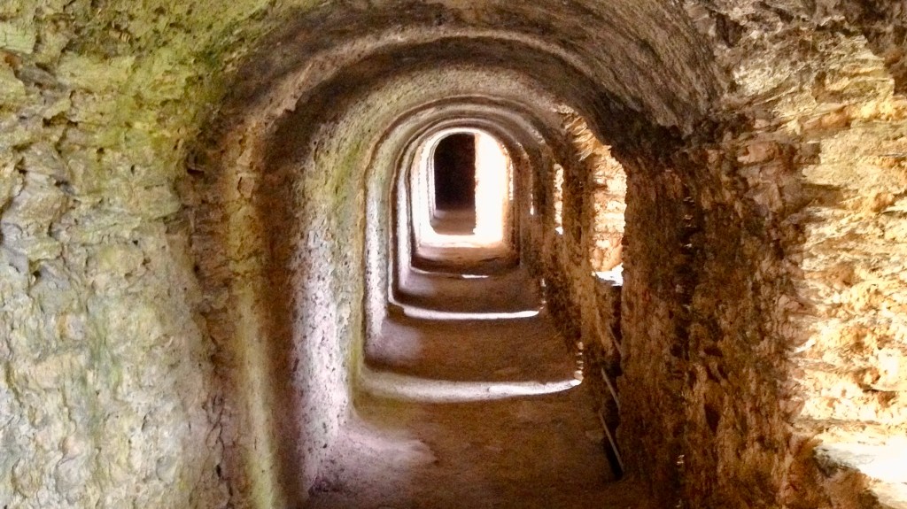 The End of the Tunnel is on the&nbsp;Horizon