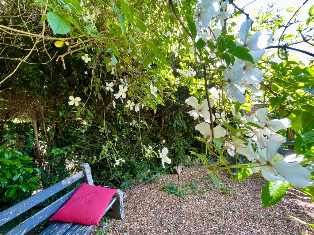 Milford Retreat’25, finishing a novel’s first draft, my aching but happy brain, and other&nbsp;curiosities.